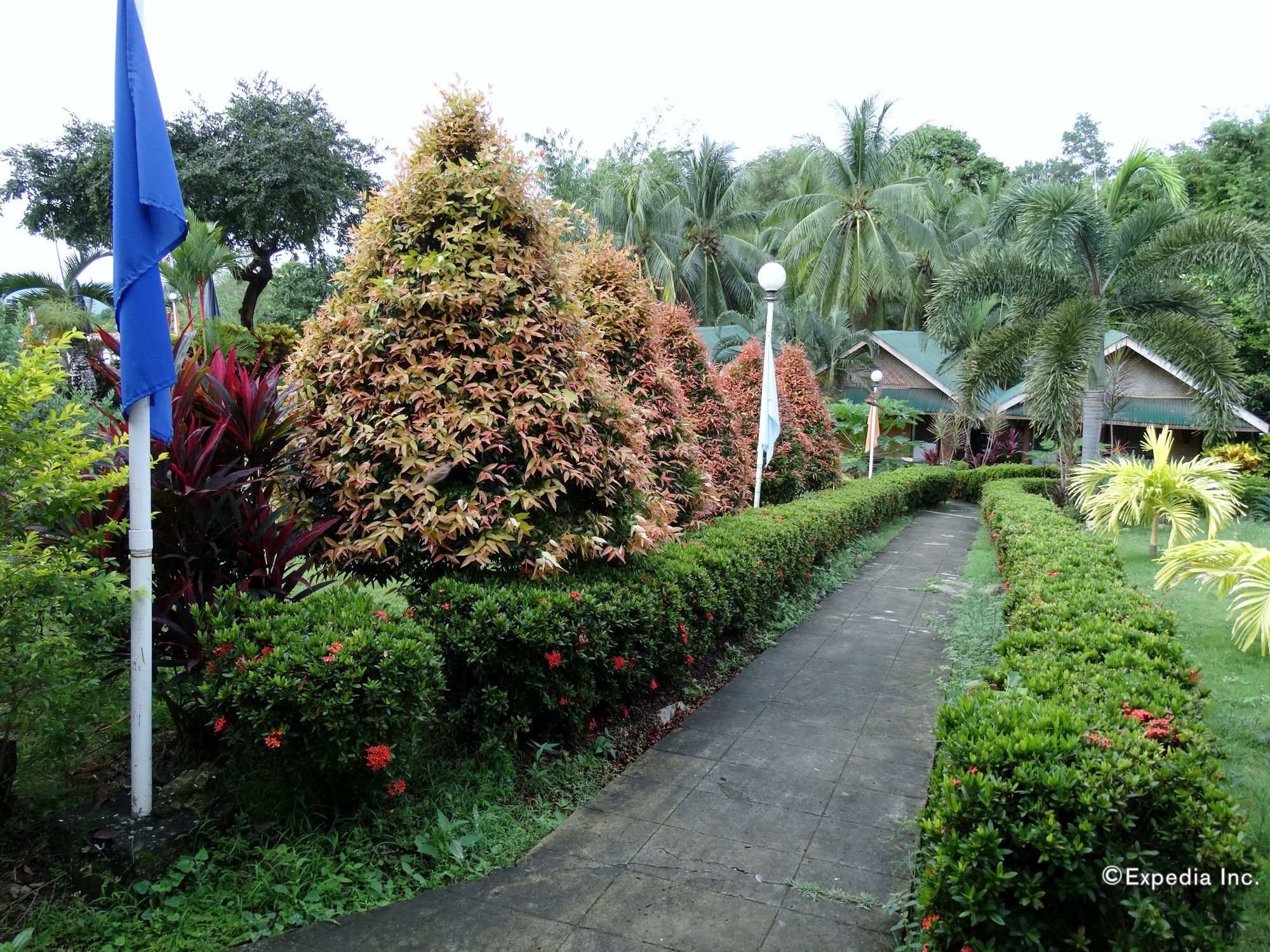 ฮิลล์ไซด์ รีสอร์ท พาลาวัน Puerto Princesa ภายนอก รูปภาพ